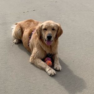 Meet your Posher, Deborah